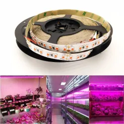 Ruban LED horticole