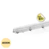 Boitier Etanche LED Intégrées Traversant 48W 3000K blanc chaud IP65 1500mm